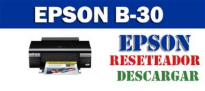Resetear impresora Epson B-30