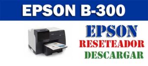 Resetear impresora Epson B-300