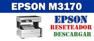 Descargar programa reset para resetear impresora Epson M3170